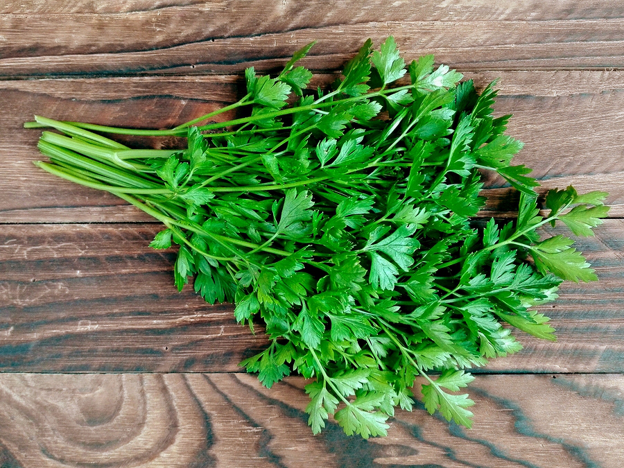 winter greens