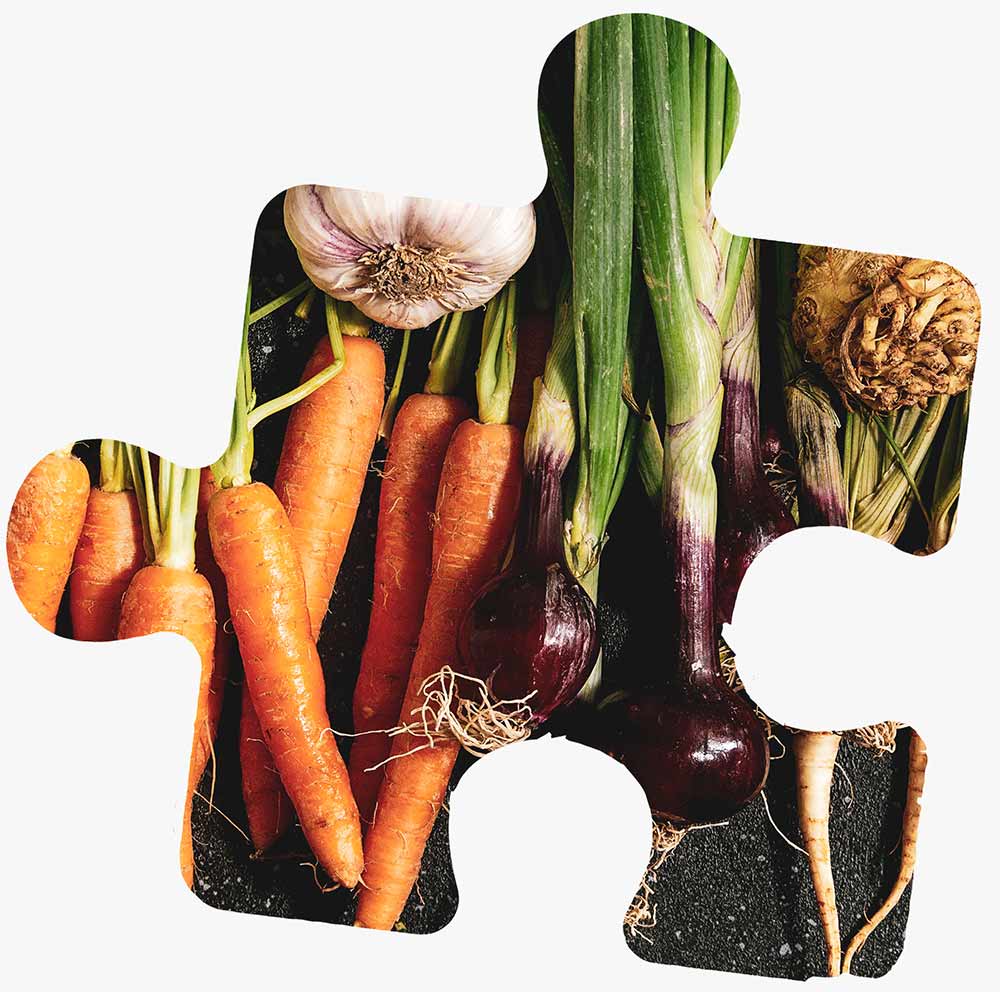 Fresh vegetables laid on a table